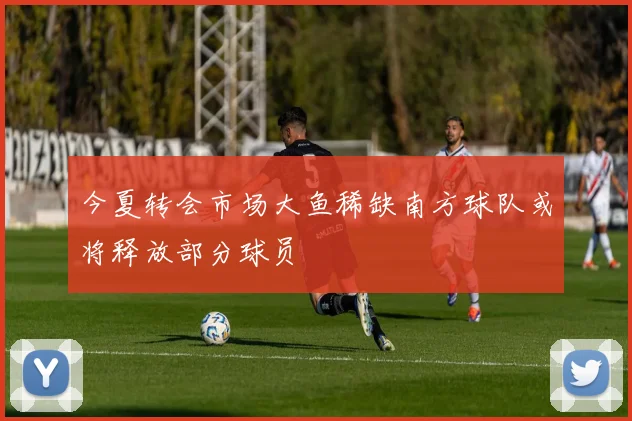 今夏转会市场大鱼稀缺南方球队或将释放部分球员