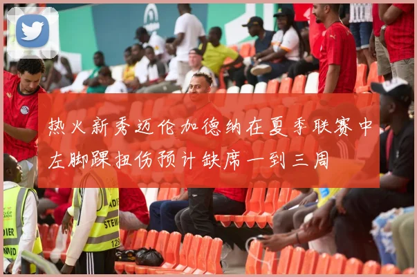 热火新秀迈伦加德纳在夏季联赛中左脚踝扭伤预计缺席一到三周